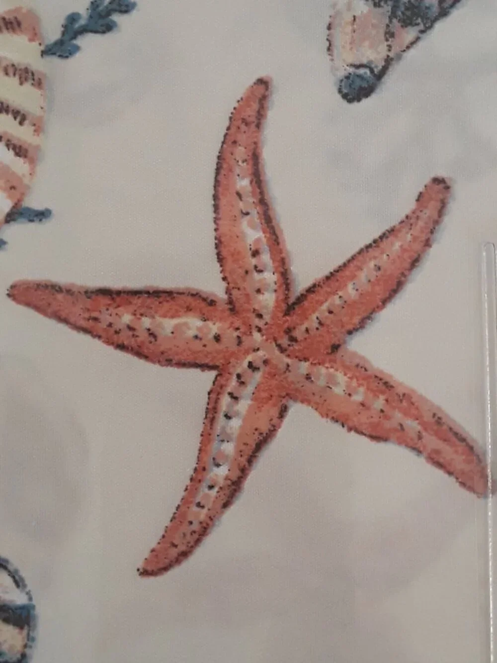 NWT Queen Sheets-Tranquil Tides Coastal Collection 4-piece set shells starfish